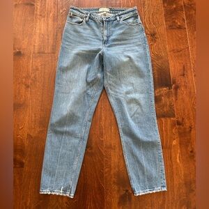 Abercrombie & Fitch Curve Love High Rise Mom Jean - Size 30L